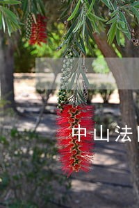 中山法院个人号码