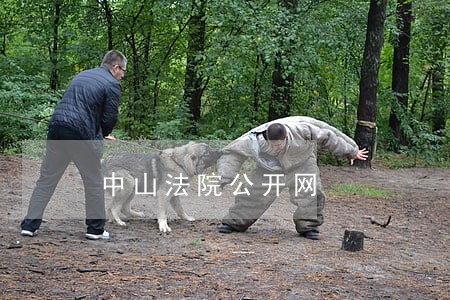 中山法院公开网 中山法院公开网