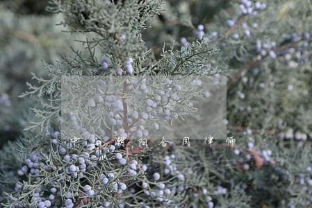 中山潮阳合同律师 中山潮阳合同律师