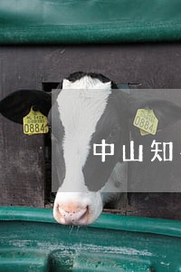 中山知名婚姻律师咨询 中山知名婚姻律师咨询