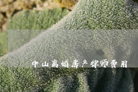 中山离婚房产律师费用 中山离婚房产律师费用