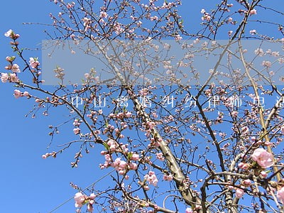 中山离婚纠纷律师电话咨询 中山离婚纠纷律师电话咨询