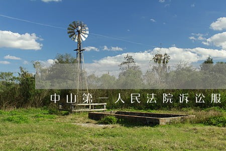 中山第一人民法院诉讼服务平台