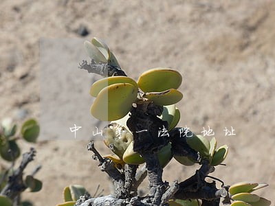 中山第一法院地址 中山第一法院地址