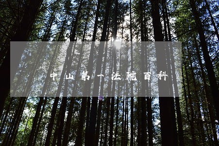 中山第一法院百科 中山第一法院百科