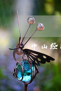 中山经济纠纷律师法律咨询 中山经济纠纷律师法律咨询