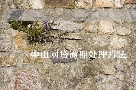 中山网贷逾期处理方法 中山网贷逾期处理方法