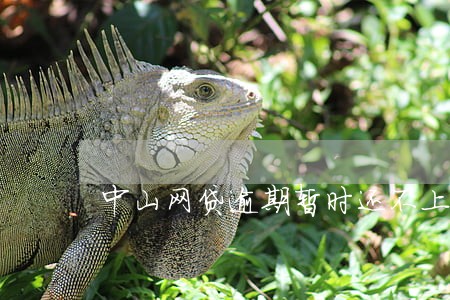 中山网贷逾期暂时还不上怎么办