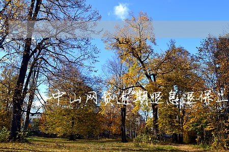 中山网贷逾期退息退保二次分期 中山网贷逾期退息退保二次分期