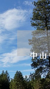 中山行政复议律师免费咨询律所 中山行政复议律师免费咨询律所
