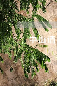中山请刑事会见律师电话多少