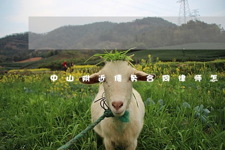 中山附近债务合同律师怎么收费 中山附近债务合同律师怎么收费