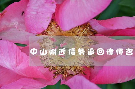 中山附近债务追回律师咨询免费 中山附近债务追回律师咨询免费