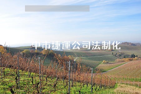 中市捷運公司法制化 中市捷運公司法制化