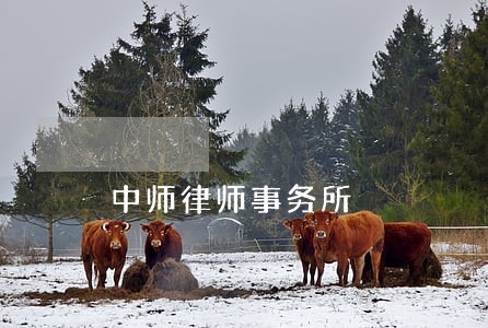中师律师事务所 中师律师事务所