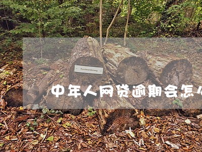 中年人网贷逾期会怎么样 中年人网贷逾期会怎么样