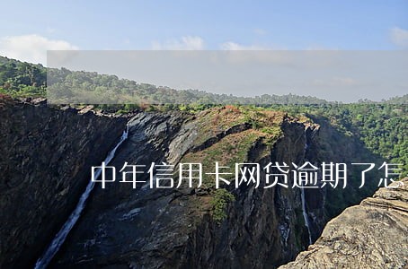 中年信用卡网贷逾期了怎么办 中年信用卡网贷逾期了怎么办