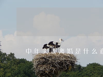中年夫妻离婚是什么意思 中年夫妻离婚是什么意思