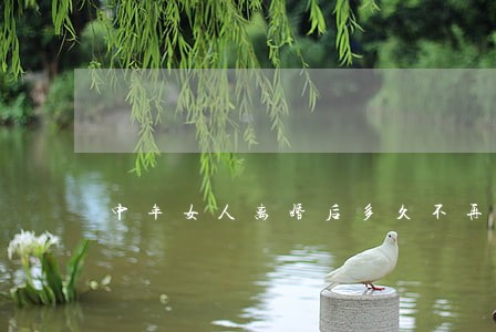 中年女人离婚后多久不再婚好