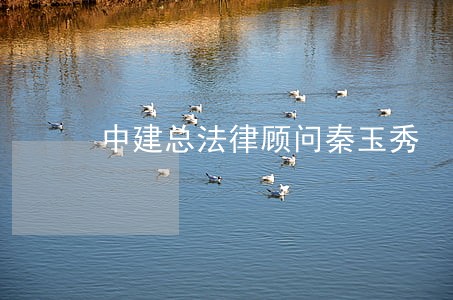 中建总法律顾问秦玉秀 中建总法律顾问秦玉秀