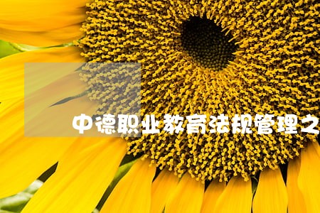 中德职业教育法规管理之比较 中德职业教育法规管理之比较