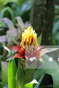中心信用卡晚几天算逾期