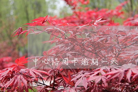 中心信用卡逾期一天 中心信用卡逾期一天