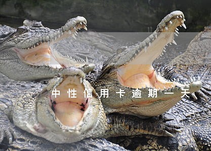 中性信用卡逾期一天