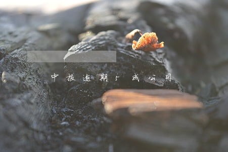 中报逾期5成公司