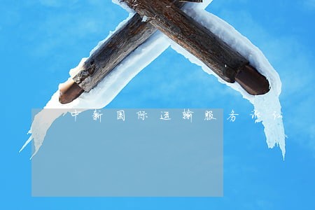 中新国际运输服务诉讼 中新国际运输服务诉讼