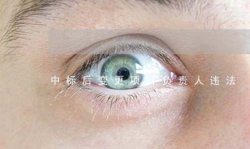 中标后变更项目负责人违法 中标后变更项目负责人违法