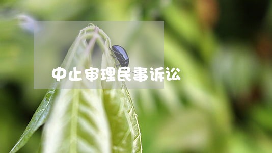 中止审理民事诉讼 中止审理民事诉讼