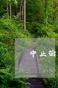 中止拍卖法定事由 中止拍卖法定事由