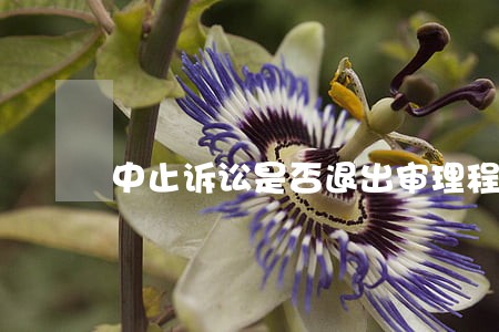 中止诉讼是否退出审理程序 中止诉讼是否退出审理程序