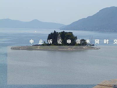 中止诉讼申请书何时交 中止诉讼申请书何时交