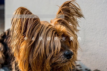 中止诉讼的主要内