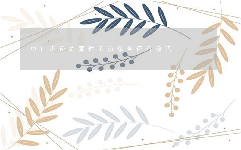 中止诉讼的案件诉前保全还有效吗 中止诉讼的案件诉前保全还有效吗