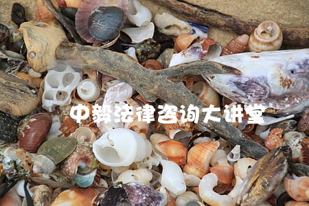 中毅法律咨询大讲堂 中毅法律咨询大讲堂