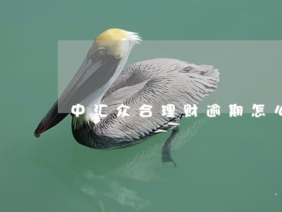 中汇众合理财逾期怎么办 中汇众合理财逾期怎么办