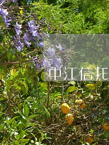 中江信托20只产品逾期名单 中江信托20只产品逾期名单