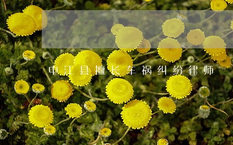 中江县擅长车祸纠纷律师 中江县擅长车祸纠纷律师
