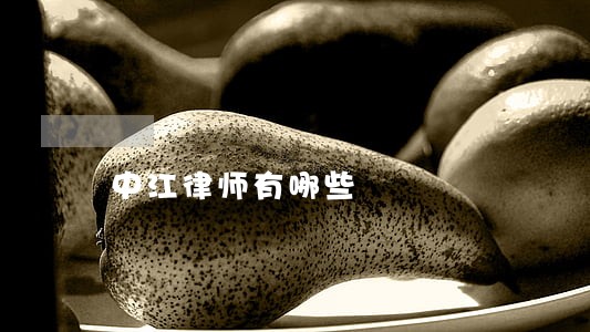 中江律师有哪些 中江律师有哪些