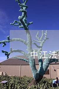 中江法律咨询 中江法律咨询