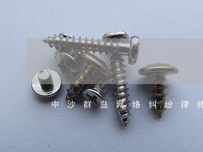 中沙群岛网络纠纷律师