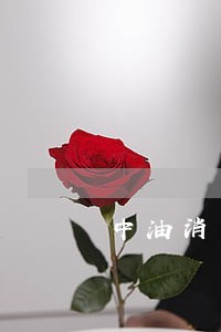 中油消费逾期3天
