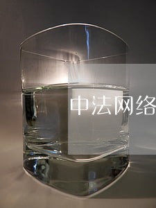 中法网络著作权立法比较研究 中法网络著作权立法比较研究