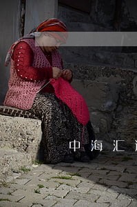 中海汇通科技有限公司法人 中海汇通科技有限公司法人