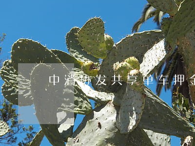 中消协发共享单车押金立法建议 中消协发共享单车押金立法建议