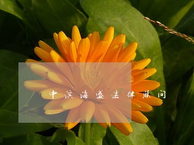 中滨海盛法律顾问 中滨海盛法律顾问