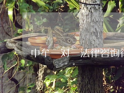 中牟一对一法律咨询律师 中牟一对一法律咨询律师